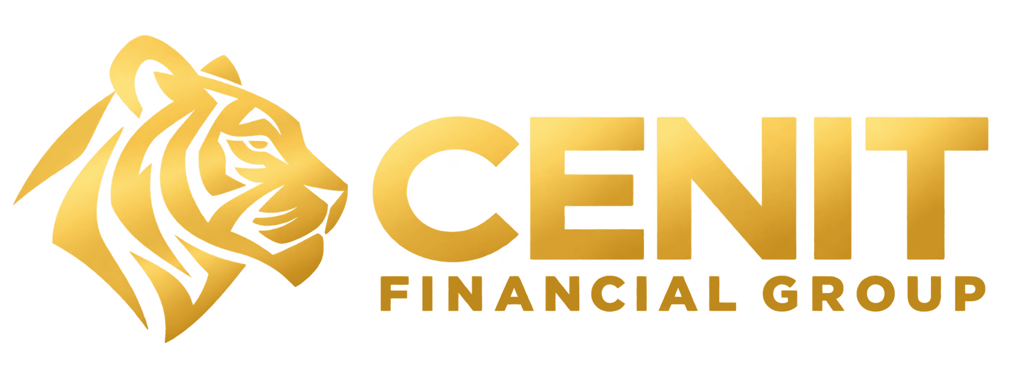 CENIT Financial Group