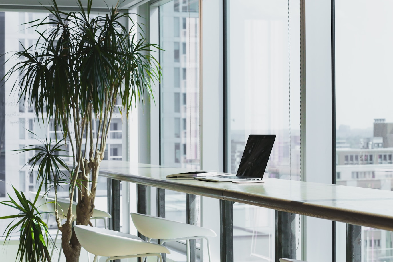 Espacio de trabajo de Cenit Financial Group